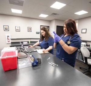 In-office wellness procedures and other office procedures at EBO MD
